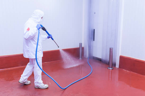 Best Graffiti Removal  in Stevensville, MD